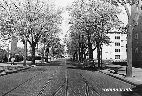 Seegefelder Straße in Spandau 1957