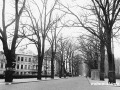 Schönwalder Allee in Spandau 1957