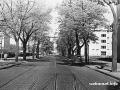 Seegefelder Straße in Spandau 1957