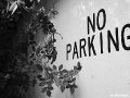 US-Headquarter Dahlem - No Parking