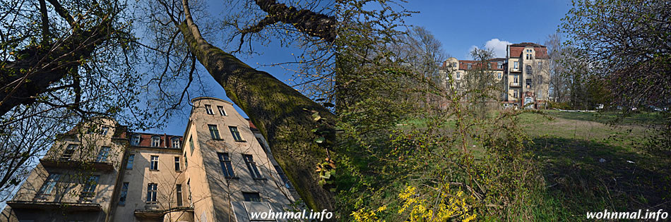 Fast einem Landschlösschen gleich ist die die einstige Kurklinik von Grün umgeben. Der noch immer eindrucksvolle Jugendstil-Bau liegt inmitten eines weiten Parkgrundstück mit alten Bäumen. Direkt vor der Haustür befindet sich mit dem Bleichröderpark eine weiere grüne Oase. Fotos: Sven Hoch