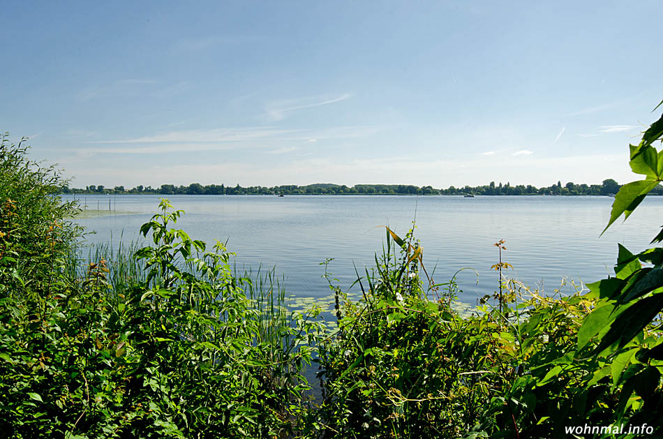 Werdersche Wiesen: Malerischer Ausblick auf den Großen Zernsee. Foto: Sven Hoch