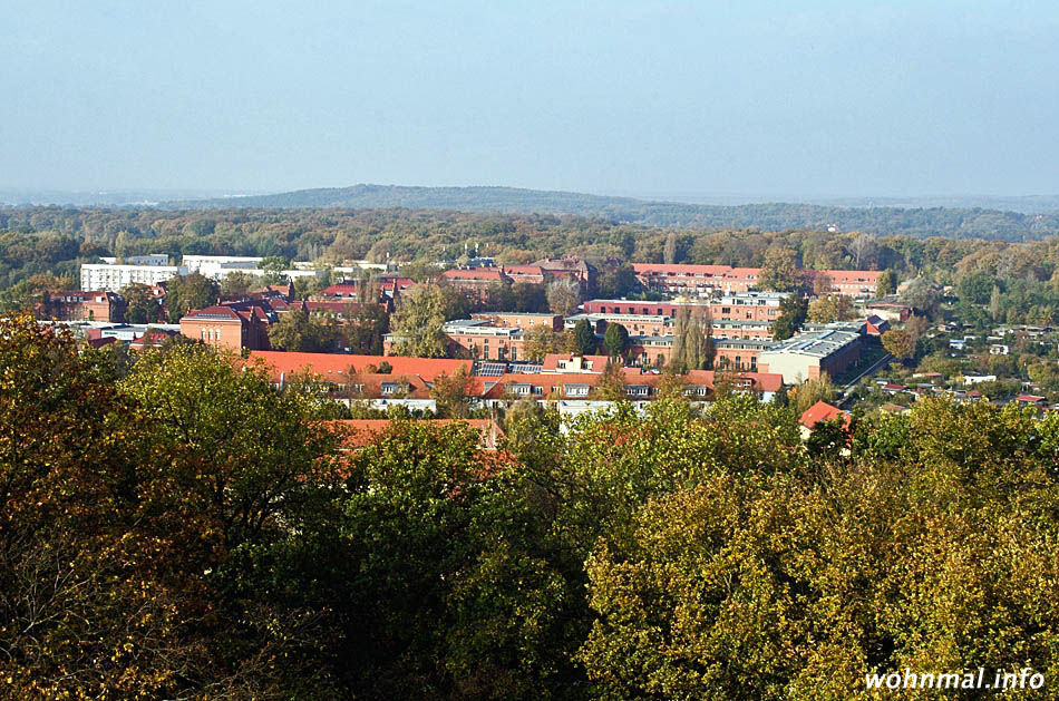 Panoramablick über das gesamte, in ein herbstliches Laubmeer eingebettete Areal der „Roten Kaserne“ vom Ostturm des Belvedere auf dem Pfingstberg. Aufnahme vom Oktober 2014. Foto: Sven Hoch